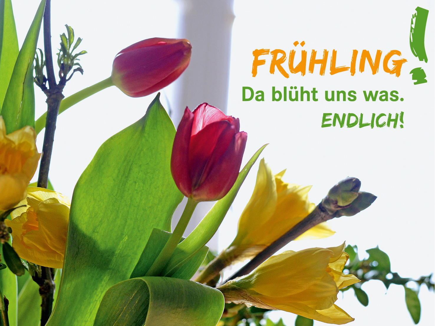 Gemeindebrief April/Mai 2025 Titelbild